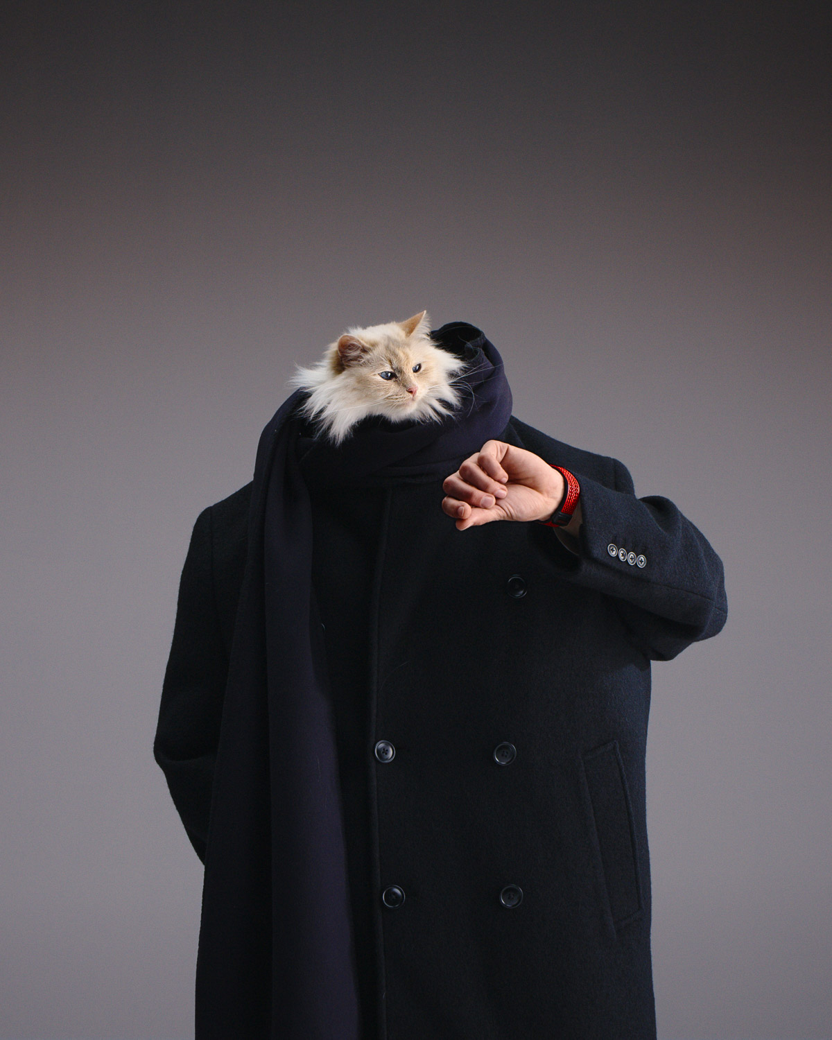 CHOUPETTE Y HUBLOT LANZARON LA CAMPAÑA MÁS ASOMBROSA DE ESTE AÑO