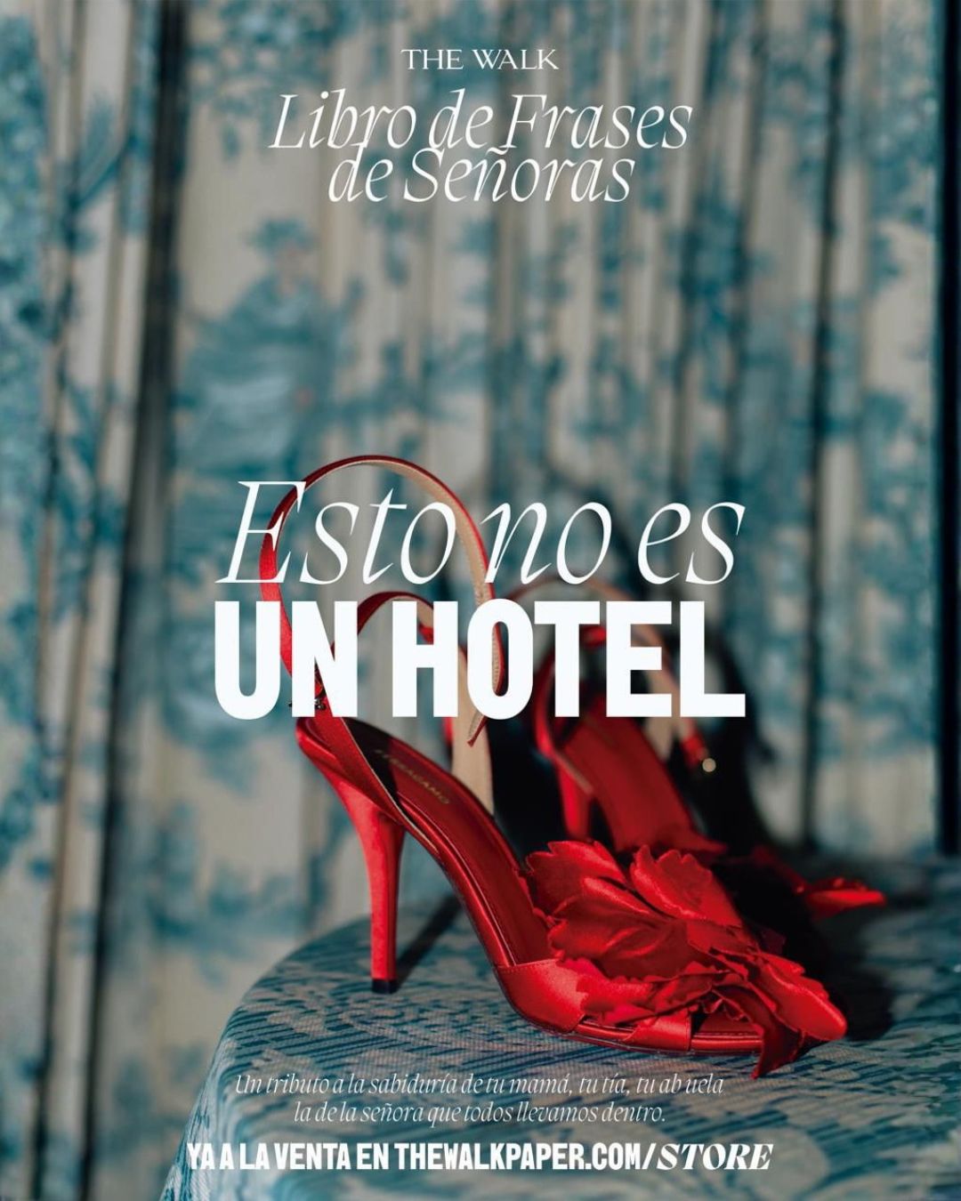 LIBRO DE FRASES DE SEÑORAS